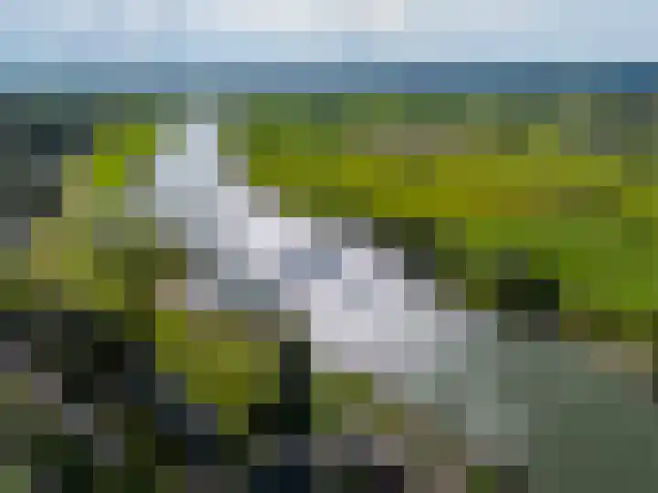 Hoornwerk 208 Zutphen thumbnail 34