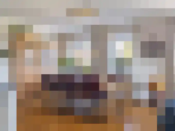Hoornwerk 208 Zutphen thumbnail 9