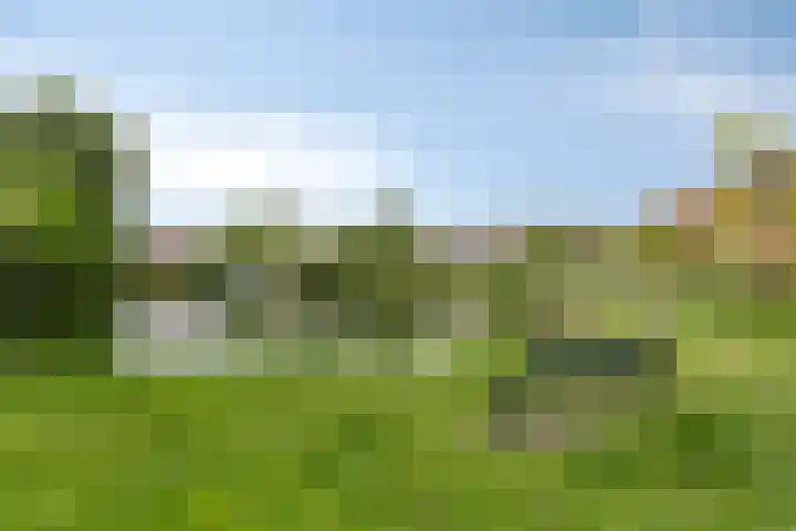 Hoornwerk 210 Zutphen thumbnail 24