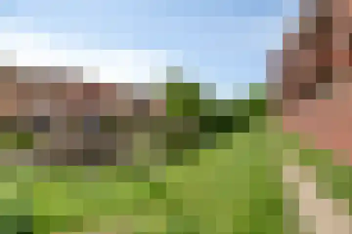 Hoornwerk 210 Zutphen thumbnail 25
