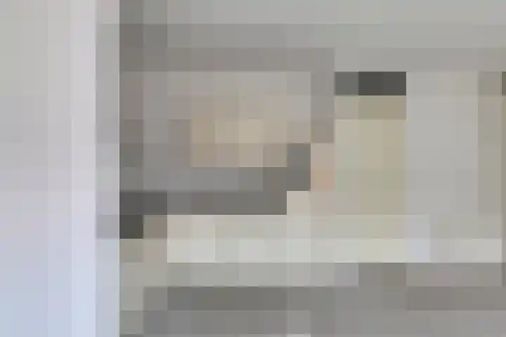 Hoornwerk 210 Zutphen thumbnail 5