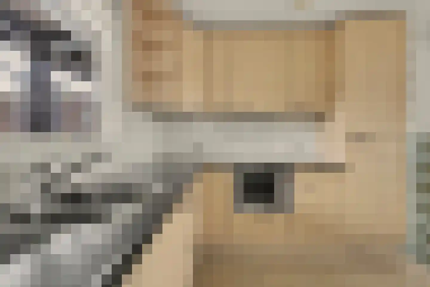 Hoornwerk 22 Zutphen thumbnail 17