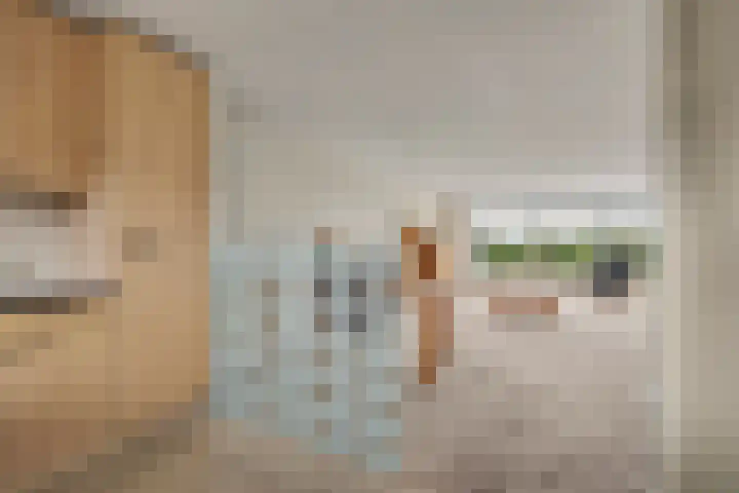 Hoornwerk 22 Zutphen thumbnail 19