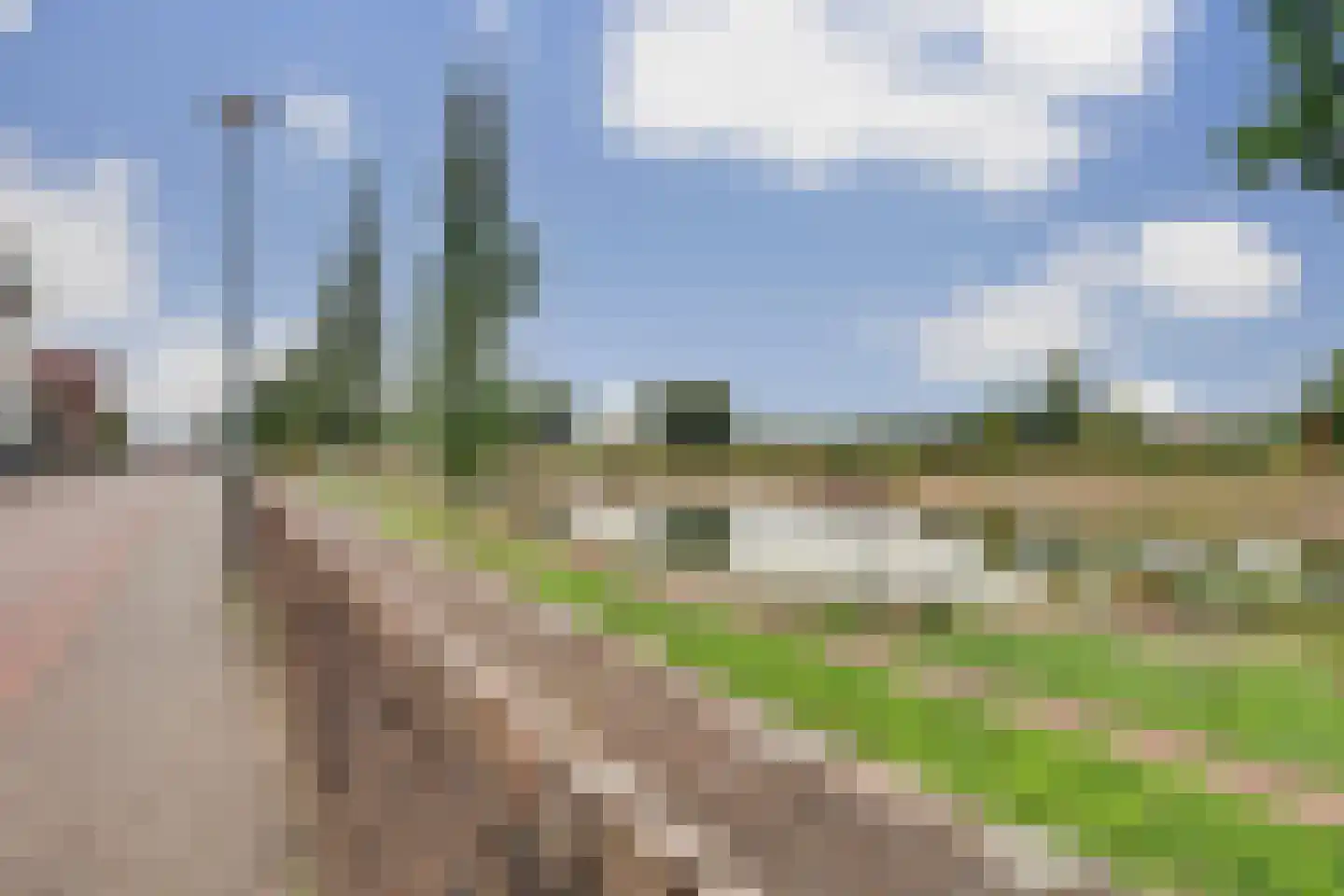 Hoornwerk 22 Zutphen thumbnail 40