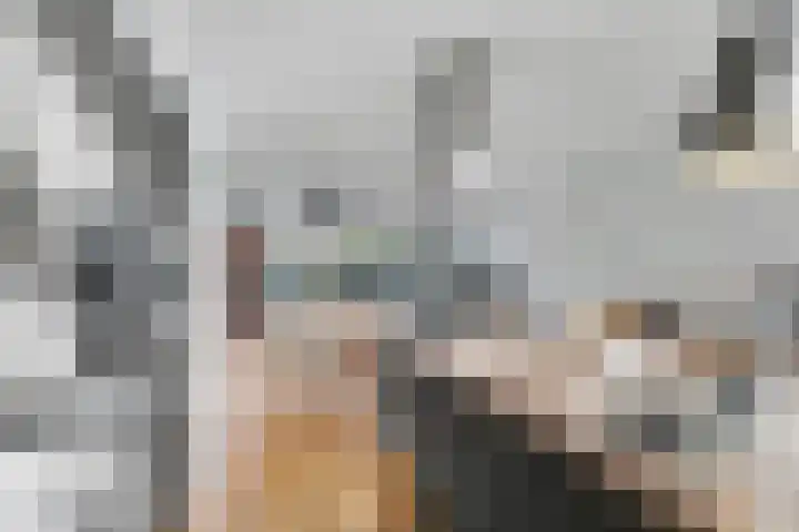 Hoornwerk 23 Zutphen thumbnail 13