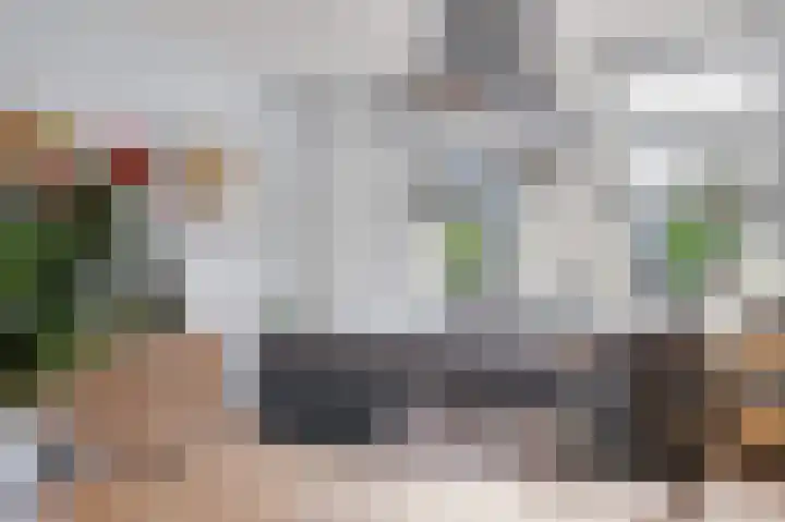 Hoornwerk 23 Zutphen thumbnail 14