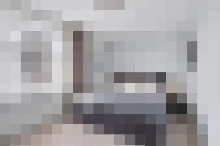 Hoornwerk 23 Zutphen thumbnail 18
