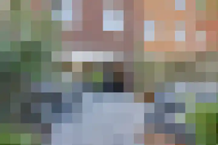 Hoornwerk 23 Zutphen thumbnail 29