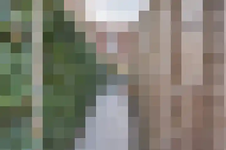 Hoornwerk 23 Zutphen thumbnail 31