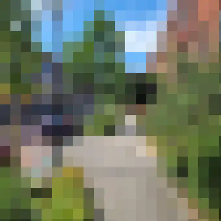 Hoornwerk 23 Zutphen thumbnail 37