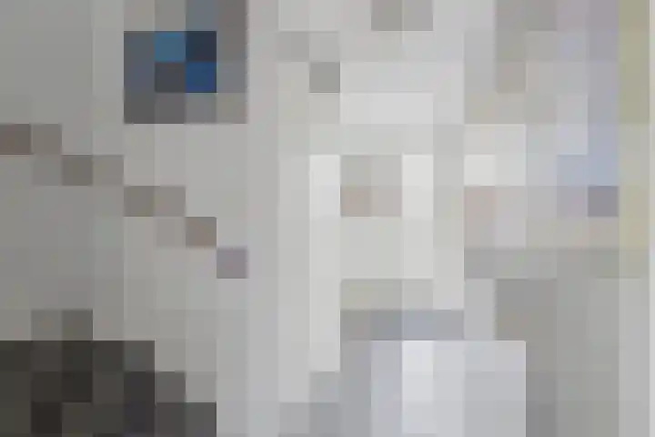 Hoornwerk 23 Zutphen thumbnail 7
