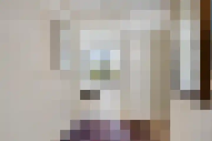 Hoornwerk 38 Zutphen thumbnail 22
