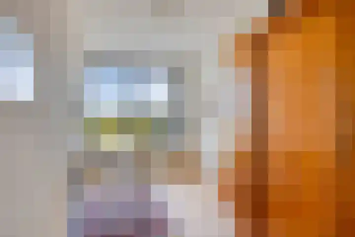 Hoornwerk 38 Zutphen thumbnail 28