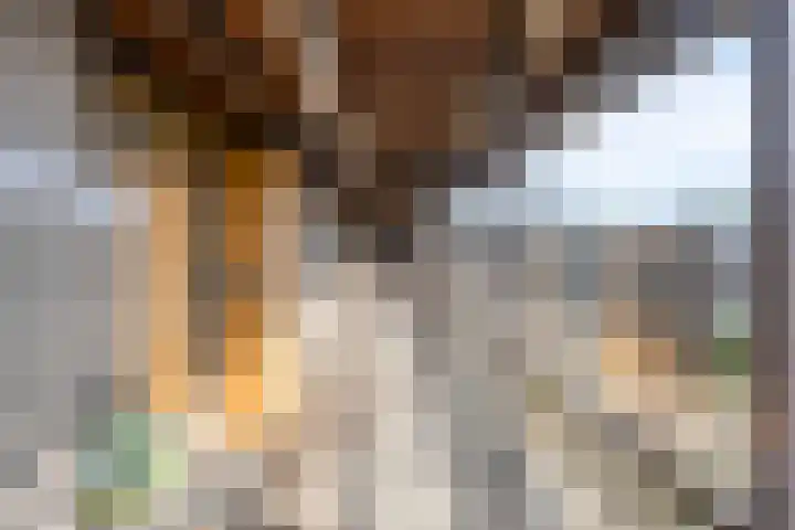 Hoornwerk 38 Zutphen thumbnail 29