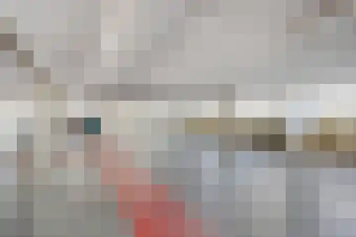 Hoornwerk 38 Zutphen thumbnail 31