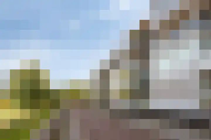 Hoornwerk 38 Zutphen thumbnail 34