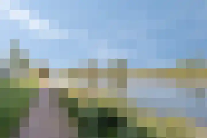 Hoornwerk 38 Zutphen thumbnail 36