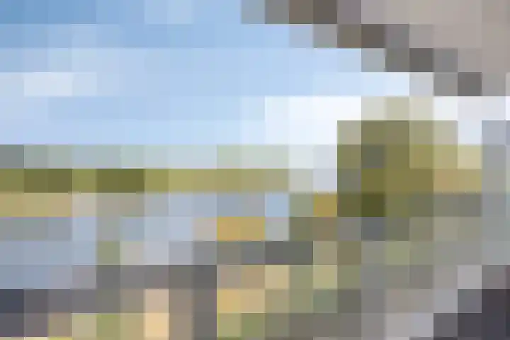 Hoornwerk 38 Zutphen thumbnail 9