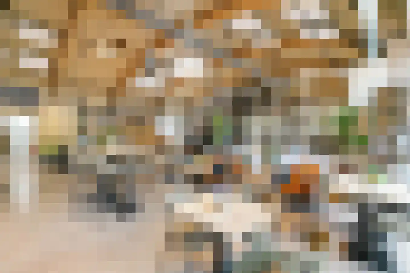 Hoornwerk 50 Vught thumbnail 28