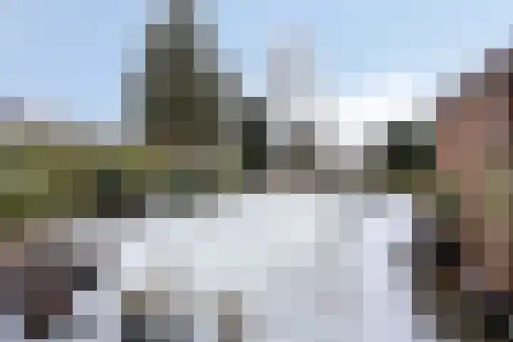 Hoornwerk 52 Emmen thumbnail 39
