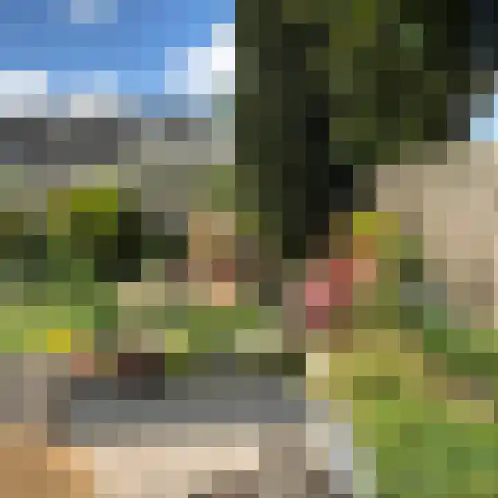Hoornwerk 52 Emmen thumbnail 47