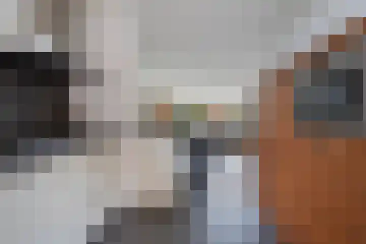 Hoornwerk 59 Zutphen thumbnail 11