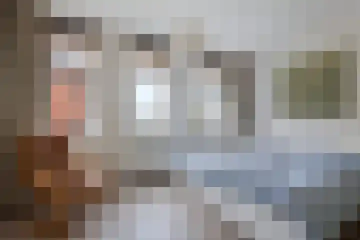 Hoornwerk 59 Zutphen thumbnail 14