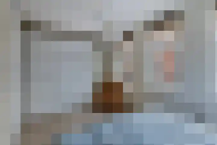 Hoornwerk 59 Zutphen thumbnail 15