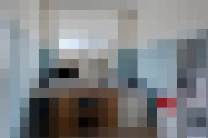 Hoornwerk 59 Zutphen thumbnail 19