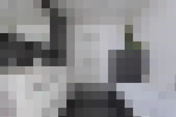 Hoornwerk 59 Zutphen thumbnail 20