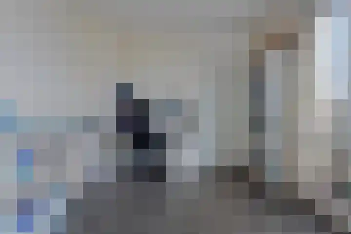 Hoornwerk 59 Zutphen thumbnail 26
