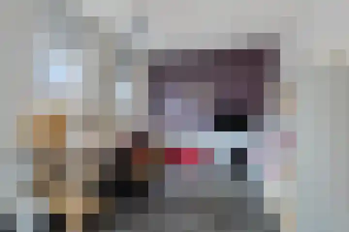 Hoornwerk 59 Zutphen thumbnail 27