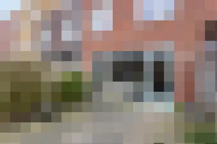 Hoornwerk 59 Zutphen thumbnail 32