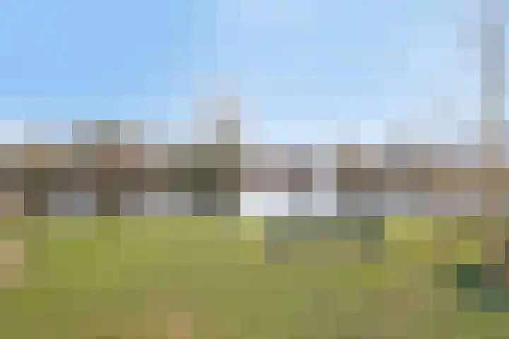 Hoornwerk 59 Zutphen thumbnail 38
