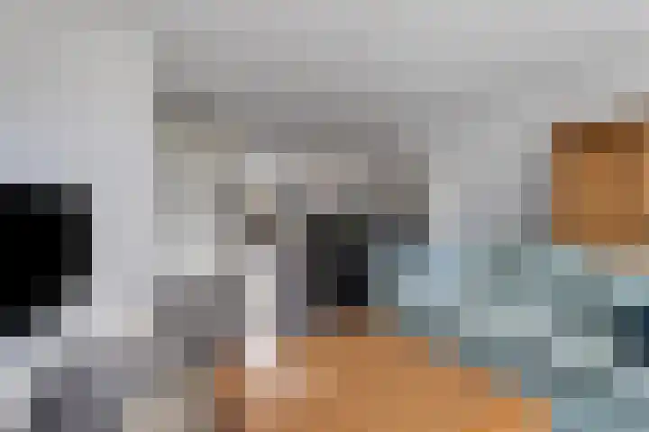 Hoornwerk 59 Zutphen thumbnail 7