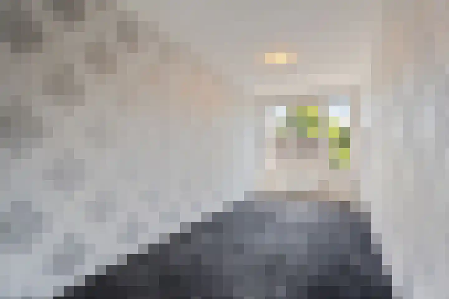 Hoornwerk 6 Gorinchem thumbnail 21