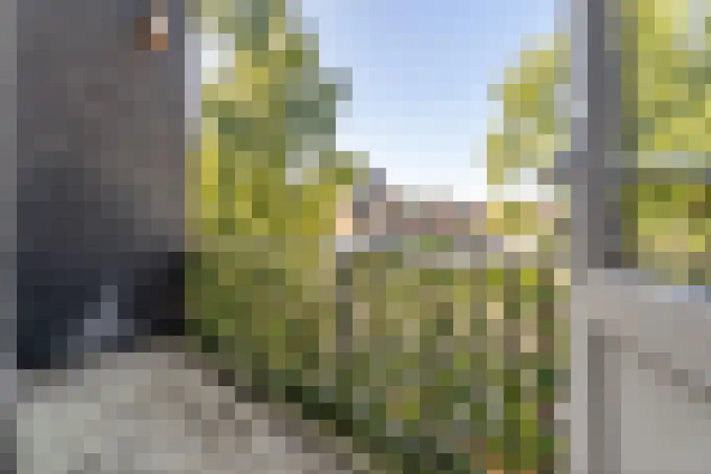 Hoornwerk 6 Gorinchem thumbnail 29