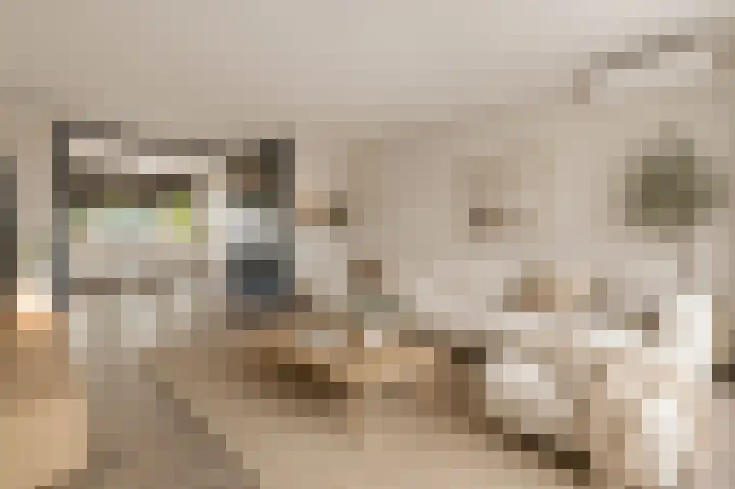 Hoornwerk 6 Gorinchem thumbnail 4