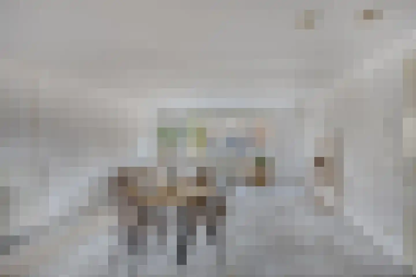 Hoornwerk 64 Zutphen thumbnail 19