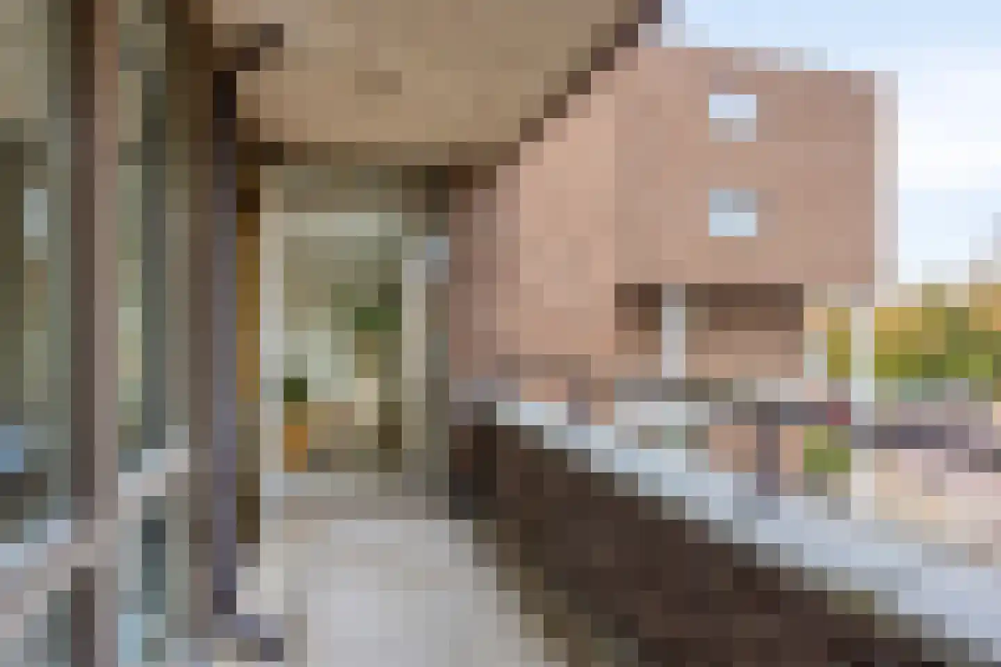 Hoornwerk 64 Zutphen thumbnail 26