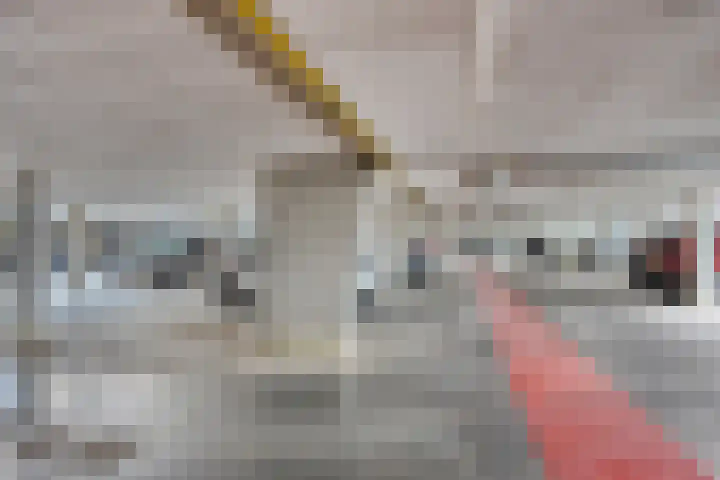 Hoornwerk 64 Zutphen thumbnail 32