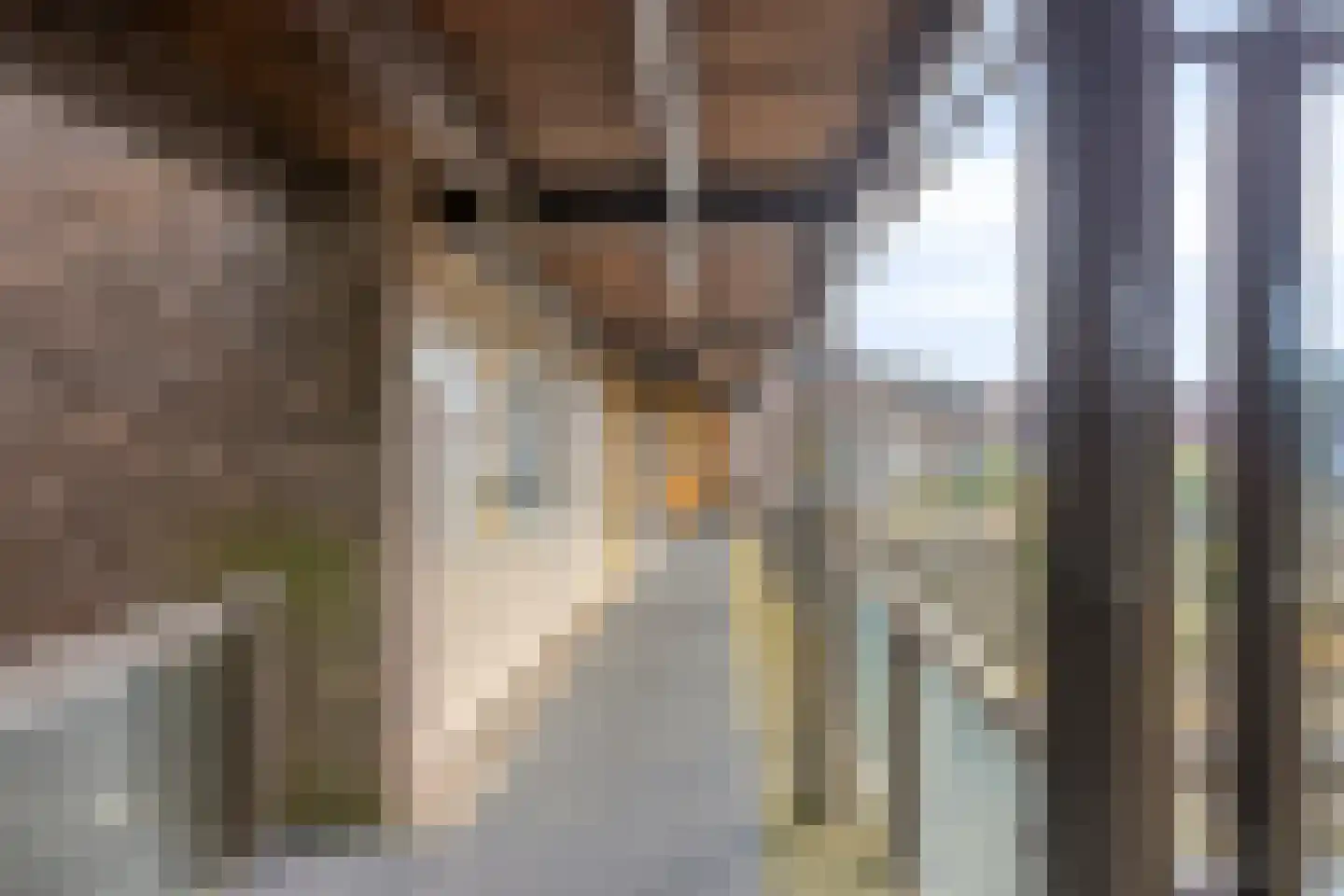 Hoornwerk 64 Zutphen thumbnail 9