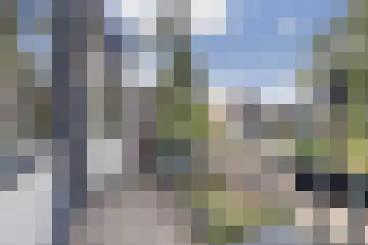 Hoornwerk 8 Gorinchem thumbnail 32
