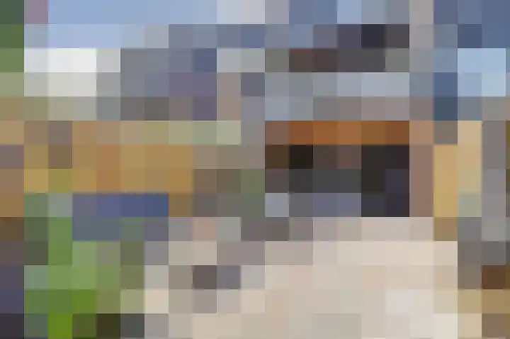 Hoornwerk 8 Gorinchem thumbnail 40