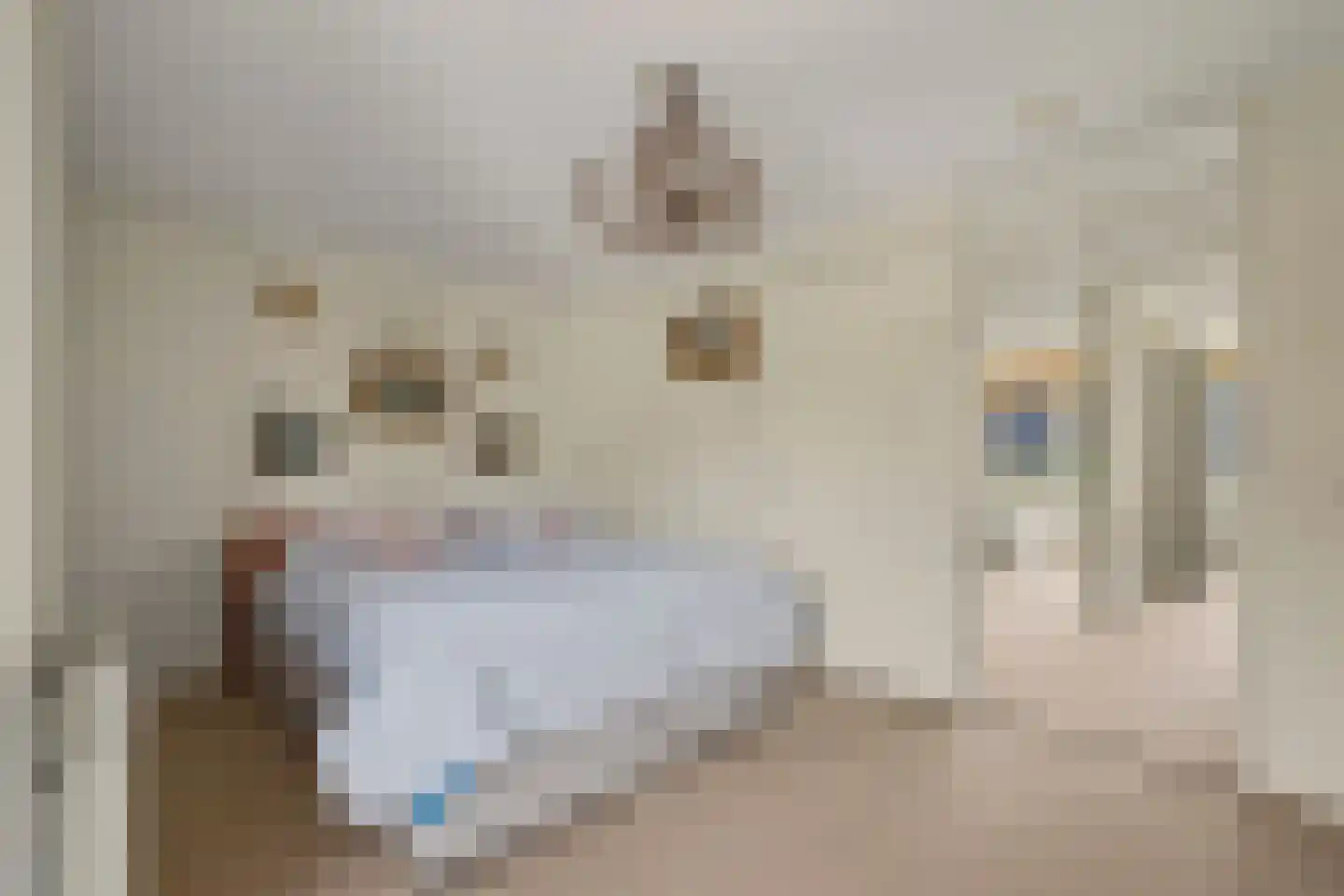 Hoornwerk 82 Zutphen thumbnail 17