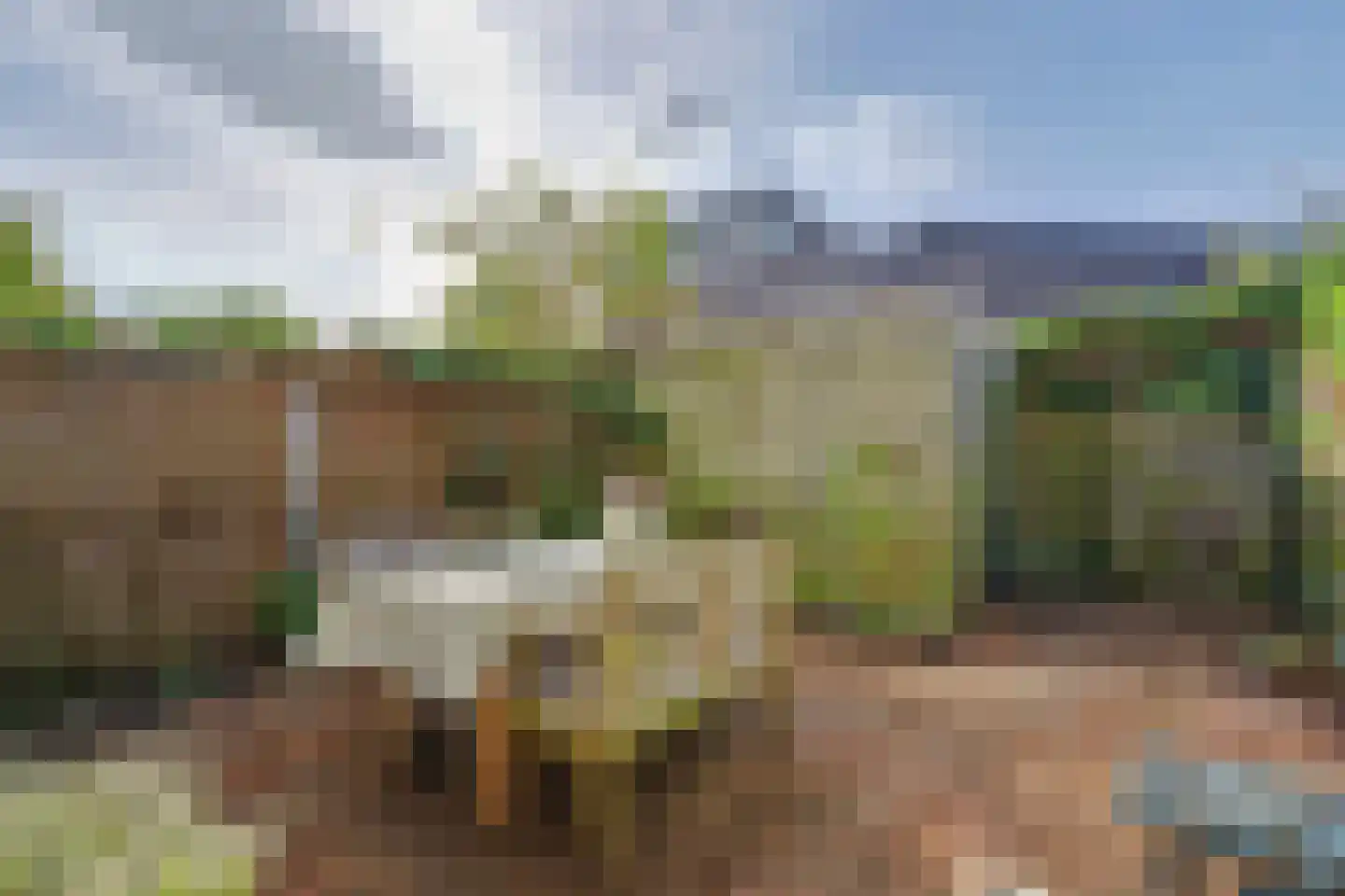 Hoornwerk 82 Zutphen thumbnail 31