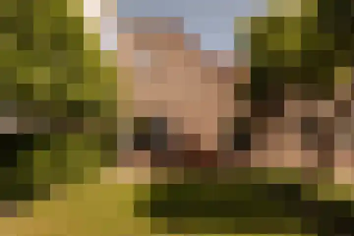 Hoornzwaluw 10 Veenendaal