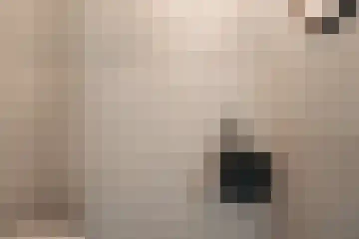 Hoornzwaluw 10 Veenendaal thumbnail 10