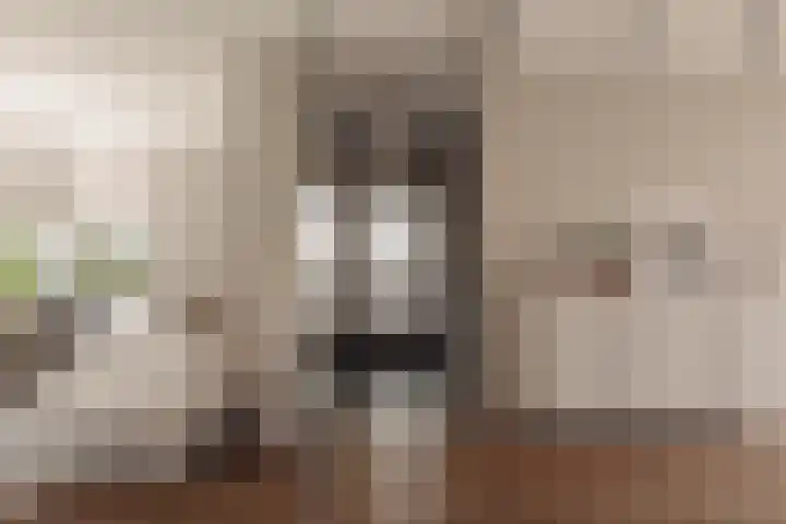 Hoornzwaluw 10 Veenendaal thumbnail 11