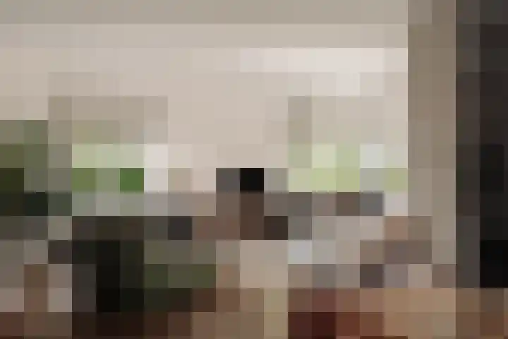 Hoornzwaluw 10 Veenendaal thumbnail 12